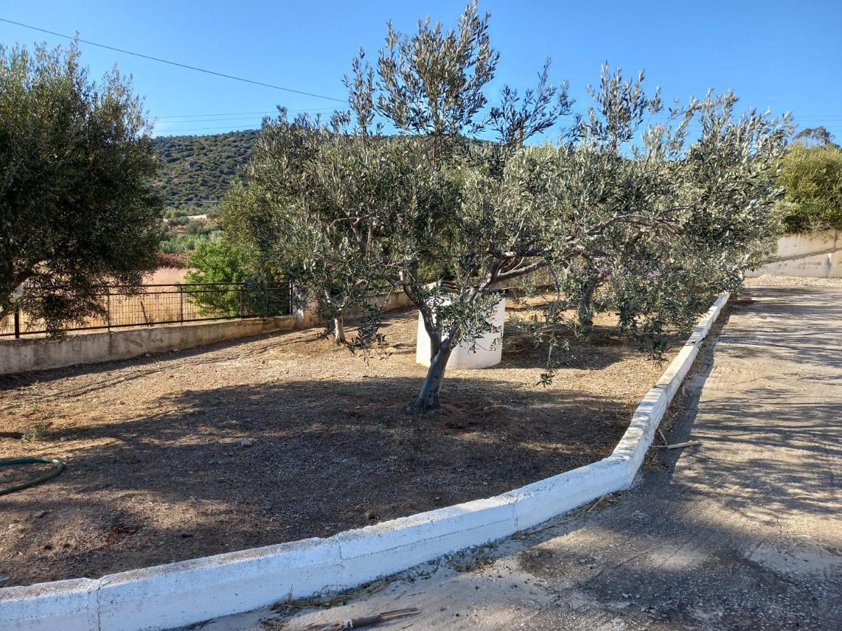 Dardiza Stay Ermioni Exterior photo